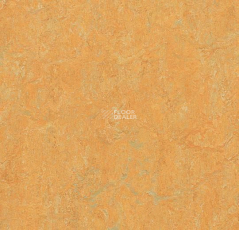 Forbo Marmoleum Marbled Real 3847 Golden Saffron фото 1 | FLOORDEALER